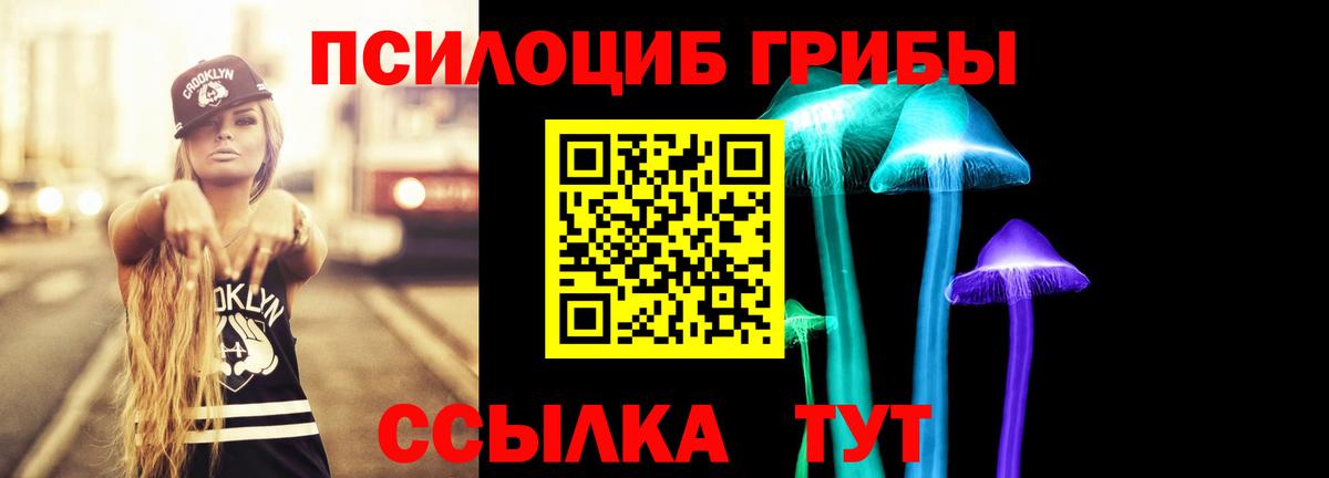 Псилоцибиновые грибы мухоморы  Вход с VPN  Мурино 
